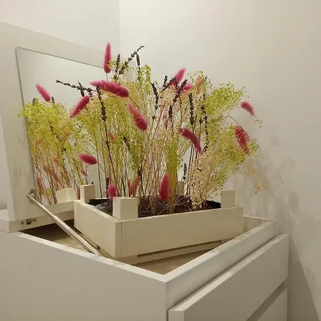 Franpavi Apartment *